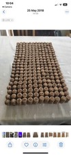 Champagne Corks (Used) Ideal