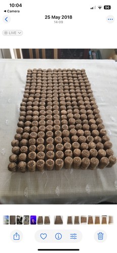 Champagne corks ideal - (used),