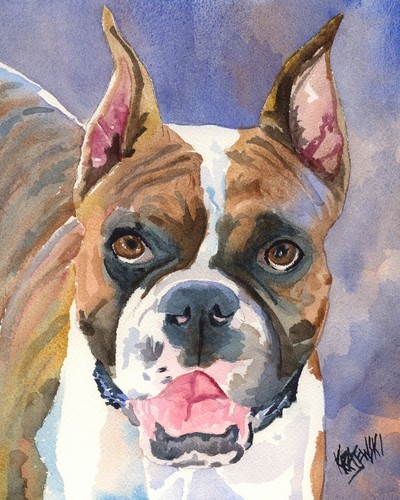 Boxer high resolution print - high, of
