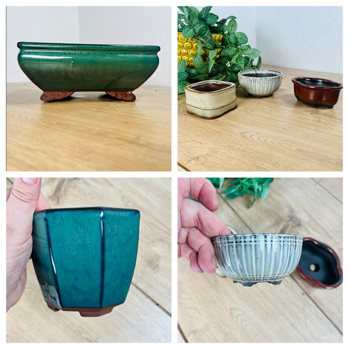 Bonsai pots drum - bonsai,