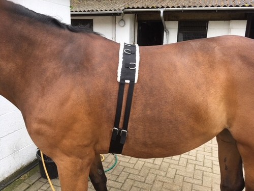 Synthetic fleece pad - synthetic, lunge