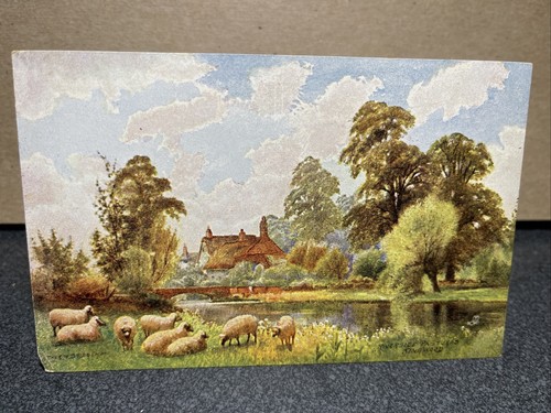 Riverside pastures raphael - riverside,