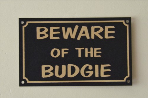 Beware the budgie sign - of,