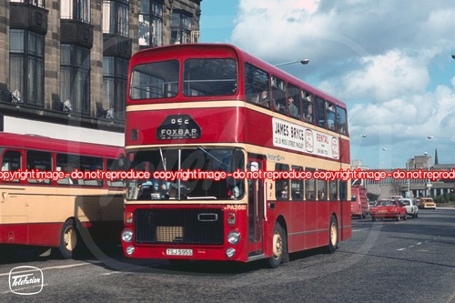 Bus photo western scottish - photo,