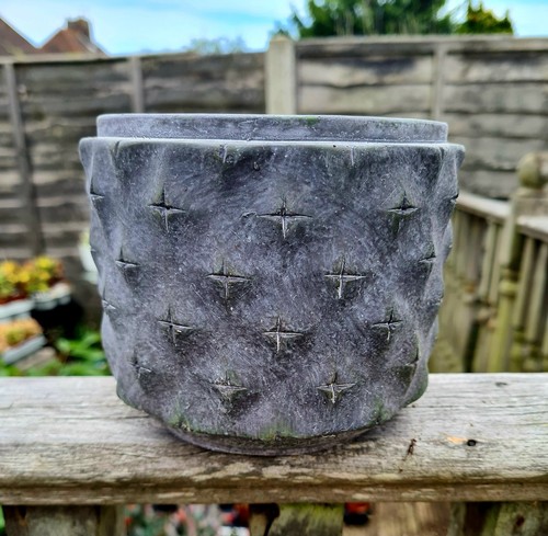Dark grey round stone - , plant