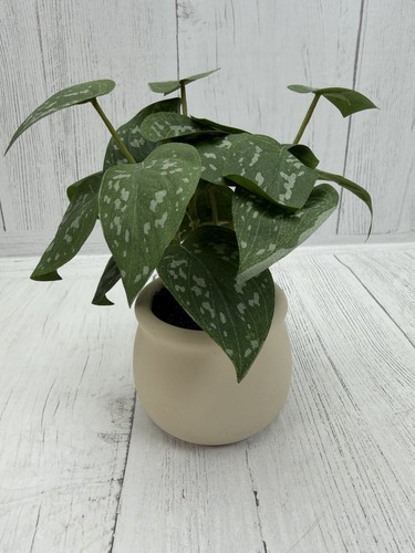 Hearth hand with magnolia - with,