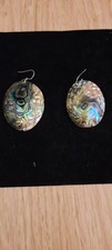 These Abalone,paua Shell ear