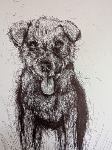 Dog pen drawing tongue - dog,