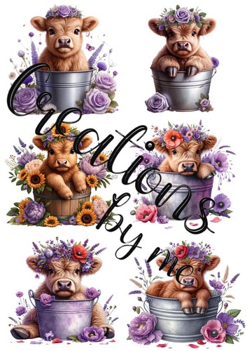 Floral highland cows - highland,