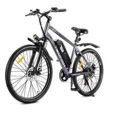 TWOFISH 26 in Electric Bicycle