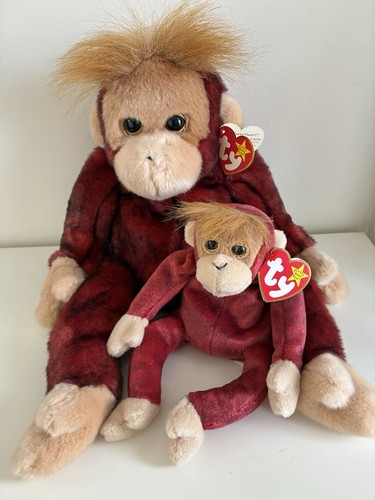 Beanie buddy - beanie, buddy,