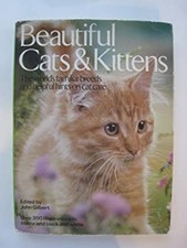 Beautiful cats & kittens: The