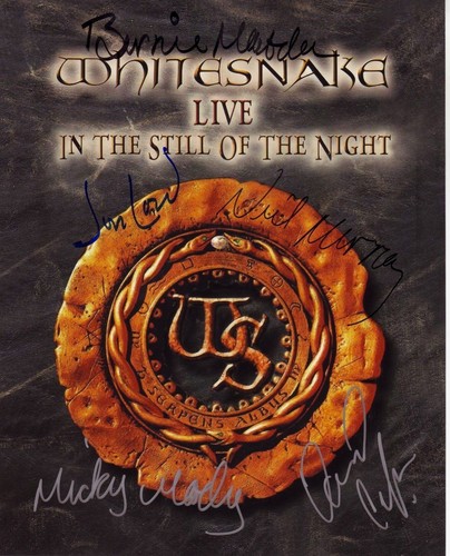 Whitesnake entire group - entire,
