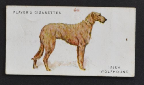1929 john player dogs - john, player's