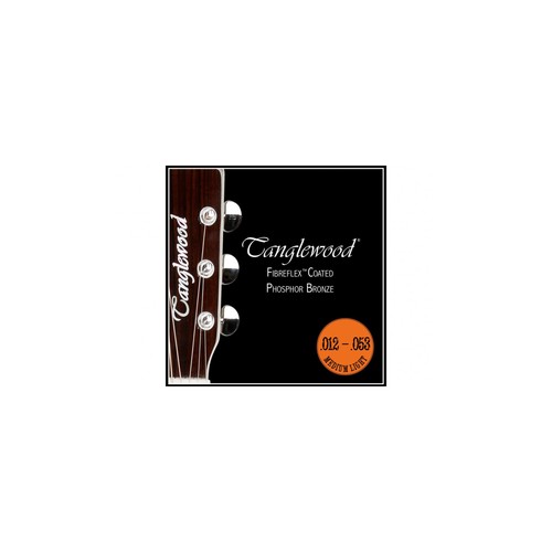Tanglewood acoustic guitar - tanglewood,