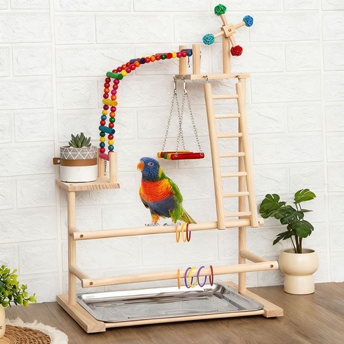 Parrot playstand bird play - parrot,