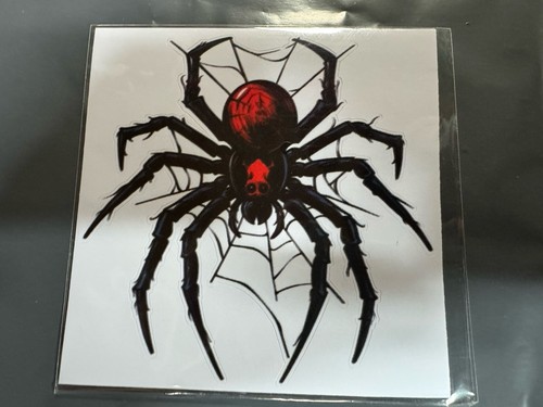 Black widow spider - black,