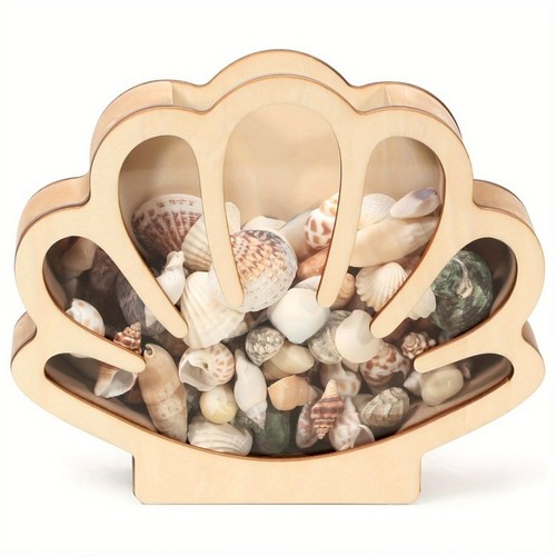 Seashell display box - seashell, wooden