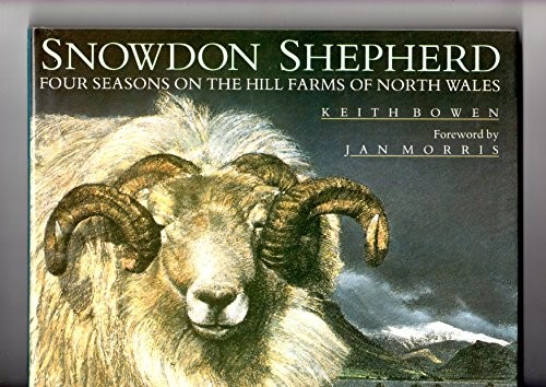 Snowdon shepherd welsh - snowdon,