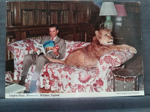 Longleat lion sofa 25275 - on,