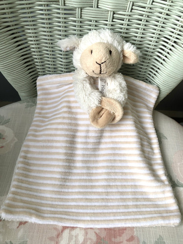 Happy horse sheep lamb - sheep, soft
