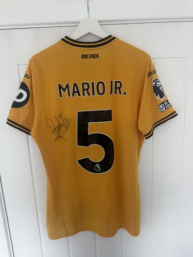 Mario lemina wolverhampton - mario,