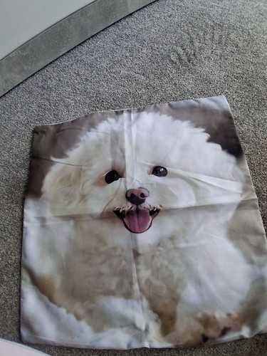 Bichon frise brand - frise, cushion