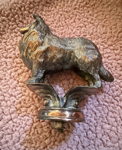 Vintage collie sheltie - collie, /sheltie