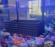 Marine Mushroom Basket with