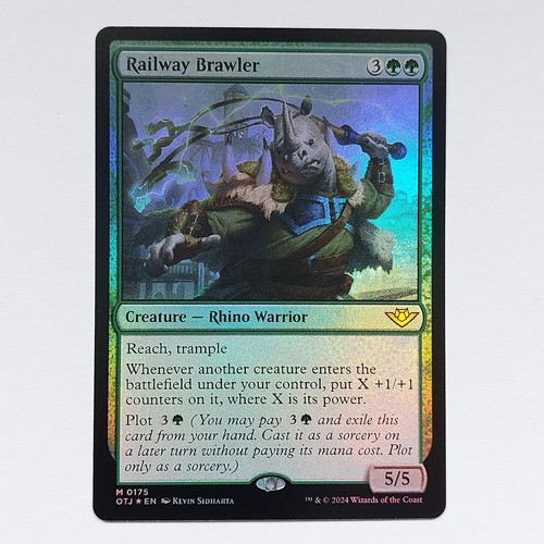 Railway brawler 0175 - railway,