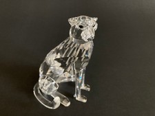 Swarovski Cheetah (African