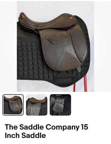 The saddle company - 15, inch