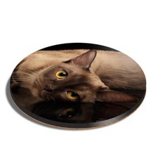 Round MDF Coaster Burmese Cat Kitten Cats #50418