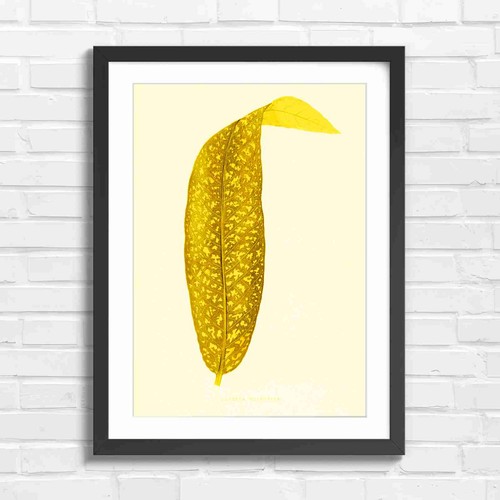 Botanical vintage leaf art - vintage,