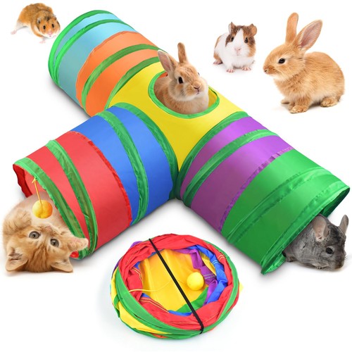 Rabbit tunnel - rabbit, tunnel,
