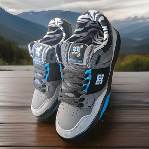 2015 shoes men ken block - dc,
