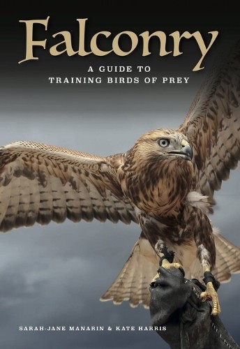 Falconry sarah jane - falconry, by