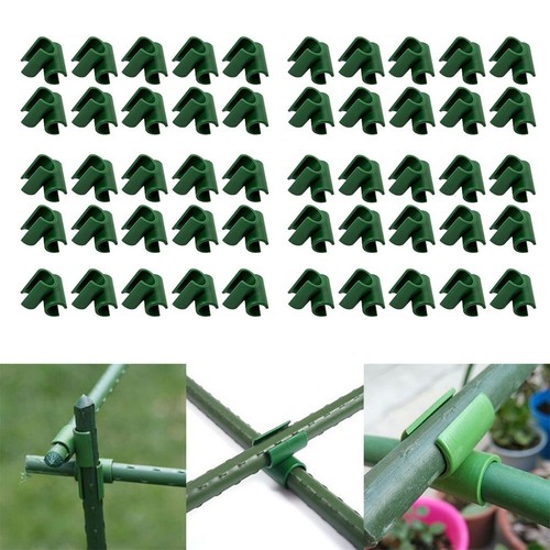 Plant support fruit - x,