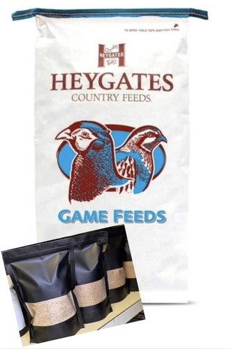 Heygates superstarter chick - heygates,