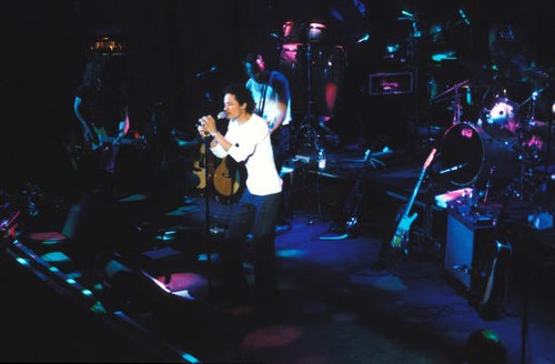 Eagle eye cherry performing - cherry,