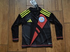 LEICESTER CITY FC 2024/25