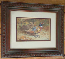 Archibald Thorburn 1929 Signed