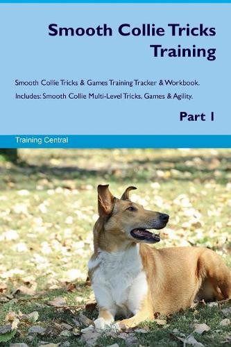 Smooth collie tricks training - smooth,