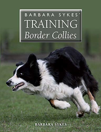 Barbara sykes training border - barbara,