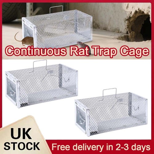 Squirrel trap humane no - squirrel,