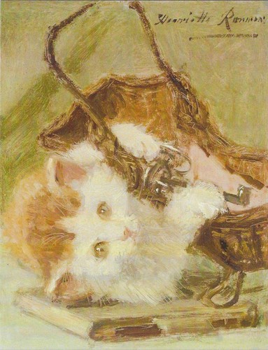 New cats kittens postcard - cats,