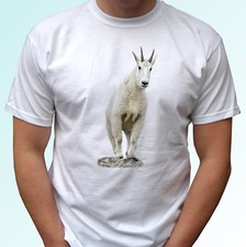 Mountain Goat white t shirt