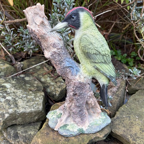 Vivid arts green - green, woodpecker