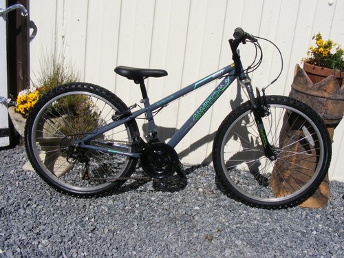 Boys girls apollo switch bike - girls,
