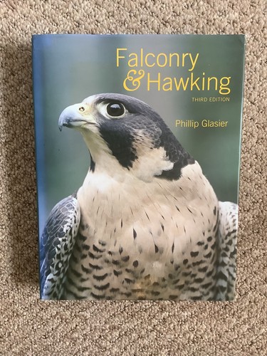 Falconry hawking by phillip - &,